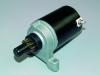 Garten E-Starter p.f.Tecumseh