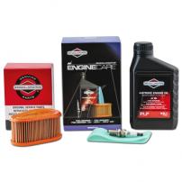 Ersatzteile Wartungskit für Briggs and Stratton DOV 992234