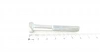 HRUNDSCHR. M8X55-DIN607-4.6ZN