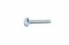 Wolf-Garten FL-RD-SCHR:M5x40 DIN 603-4.8