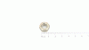 Agria 6KT-RING-S-MUTTER:3/8-16:GR5