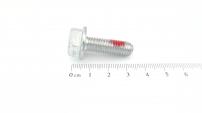 Wolf-Garten 6KT-SCHR.M8X25-DIN6921-8.8-ZN-