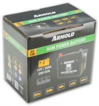 Cub Cadet BATTERIE:U1:300 CCA:12V:NASS
