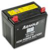 Cub Cadet BATTERIE:U1:300 CCA:12V:NASS