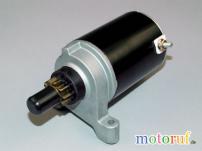 Garten E-Starter p.f.Tecumseh