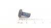 Floraself FLK.SCHR. 1/4-20X.50