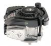 Motoren SERIE 700 DOV Briggs & Stratton
