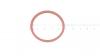 Toro O-RING