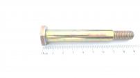 Champ SHLT-SCHR:.496 x 2.50:3/8-16