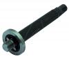 Celebration MESSERWELLE  5.75 LG