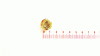 Gartenland 6KT-S-MUTTER 5/16-18:GR5:SD:LK