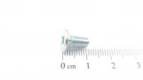 AS-Motor (neu) Gew. furch. Senk- Schr. m. Torx 