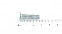 AS-Motor (neu) 6kt- Schraube 