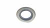 AS-Motor (neu) Wellendichtring 