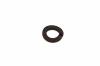 AS-Motor (neu) Federring 