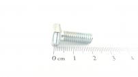 AS-Motor (neu) 6kt- Schraube 