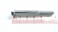 AS-Motor (neu) 6kt- Schraube 