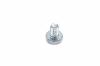 AS-Motor (neu) Schraube mit Torx 
