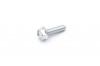 GARDENLINE SHR SKT M8X30 SPERRZ. U. KUPPE A2K 8.8