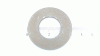 Goldpower FL-SCHEIBE:.760 x 1.50 x.06:HT