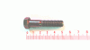 Goldpower 6KT-SCHR:3/8-16:1.75:GR5:STD