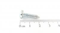 SHR ST4,8X19 -C-TORX 7981 A2K