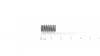 Edenparc DRUCKFEDER:.2569 x.1549 x.5480