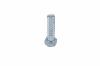 Viking Sechskantschraube 3/8"LHx11/2" (45 - 50 Nm)