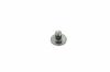 Max Bahr TORXSCHR:M6x1.0x10: PANTRXI