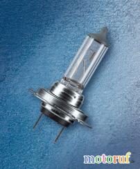 Garten Lampe H7 12 Volt