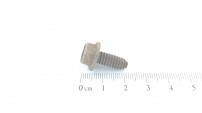 Goldpower 6KT-SCHR:TT:1/4-20:.625:HXINDW