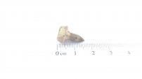 Toro SCREW