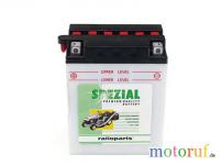 Garten Batterie 12N12A-4-1