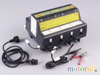 Garten Batterie Lade & Testgerät 8