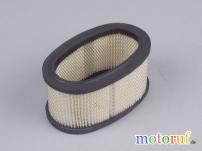 Garten Filter Luft pass.f.B&S