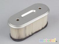 Garten Filter Luft pass.f.B&S