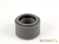 Garten Filter Luft pass.f. Robin