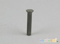 Garten Senkniet 5x30mm