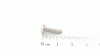 GARDENLINE SHR ST3,5X13  -C-H7981A3S