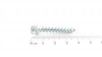 Stiga Screw