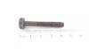Brill LIBS ISO7049-TORX5,5*38 C VERZ