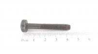 Brill LIBS ISO7049-TORX5,5*38 C VERZ