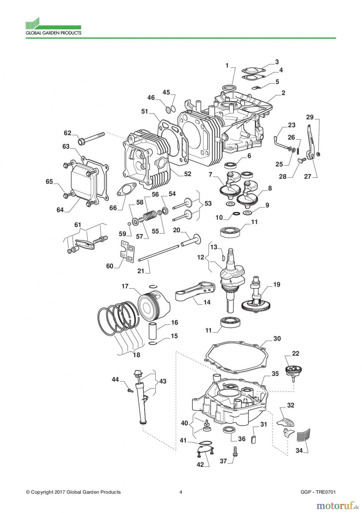 Global Garden Products GGP Motoren 2017 TRE0701 Engine - Piston, Crankshaft