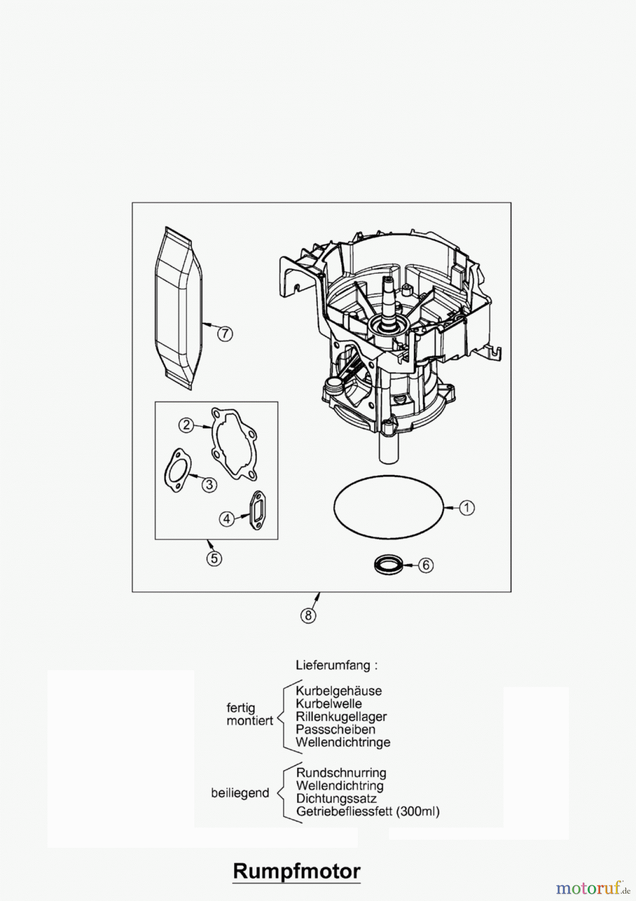 AS-Motor (neu) Rasen Profi-Rasenmäher AS 45 Universal AS 45 B4 ab FNr. 007709060001 Rumpfmotor