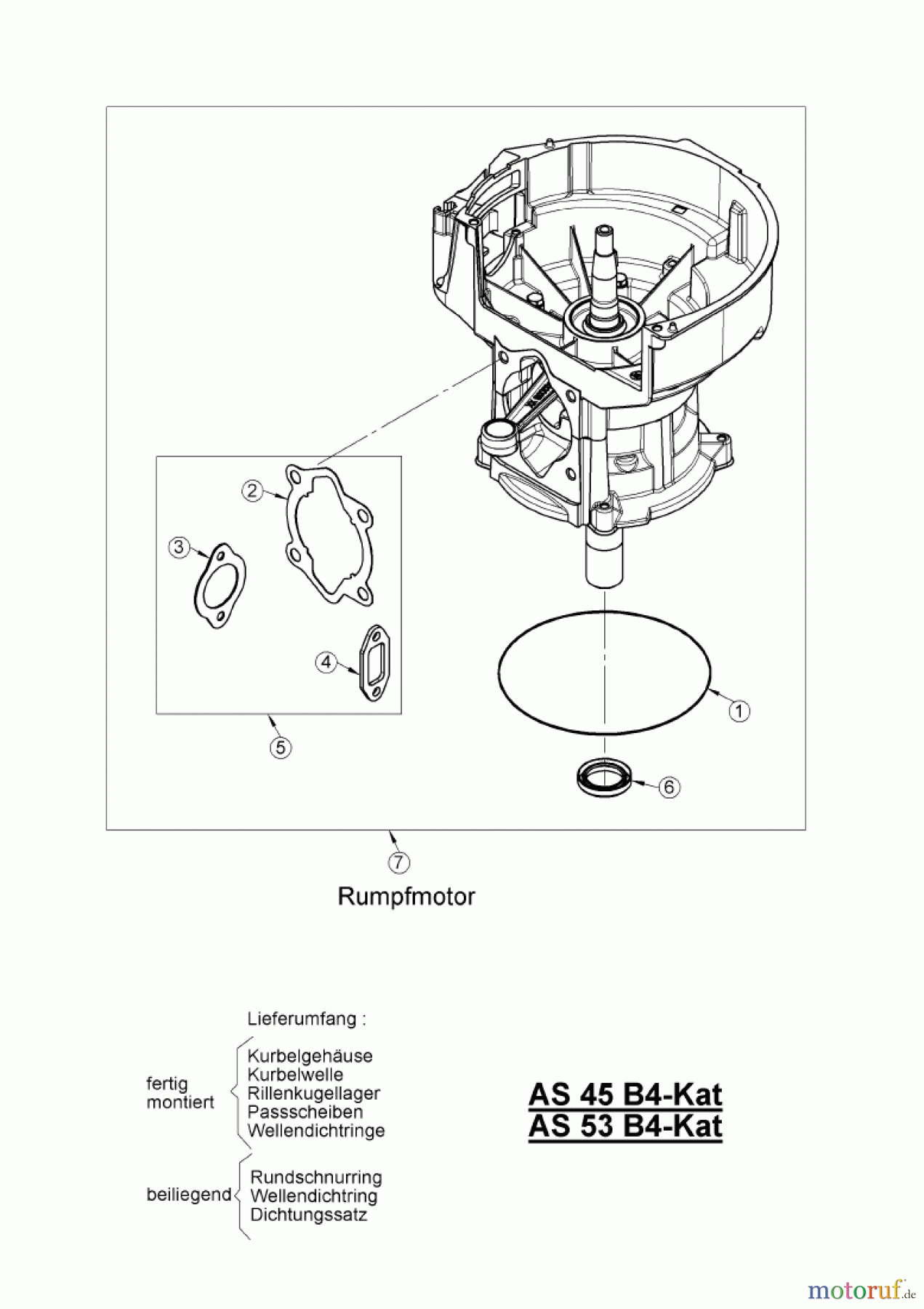 AS-Motor (neu) Rasen Profi-Rasenmäher AS 45 Universal AS 45 B4-Kat ab FNr. 021008050001 Rumpfmotor
