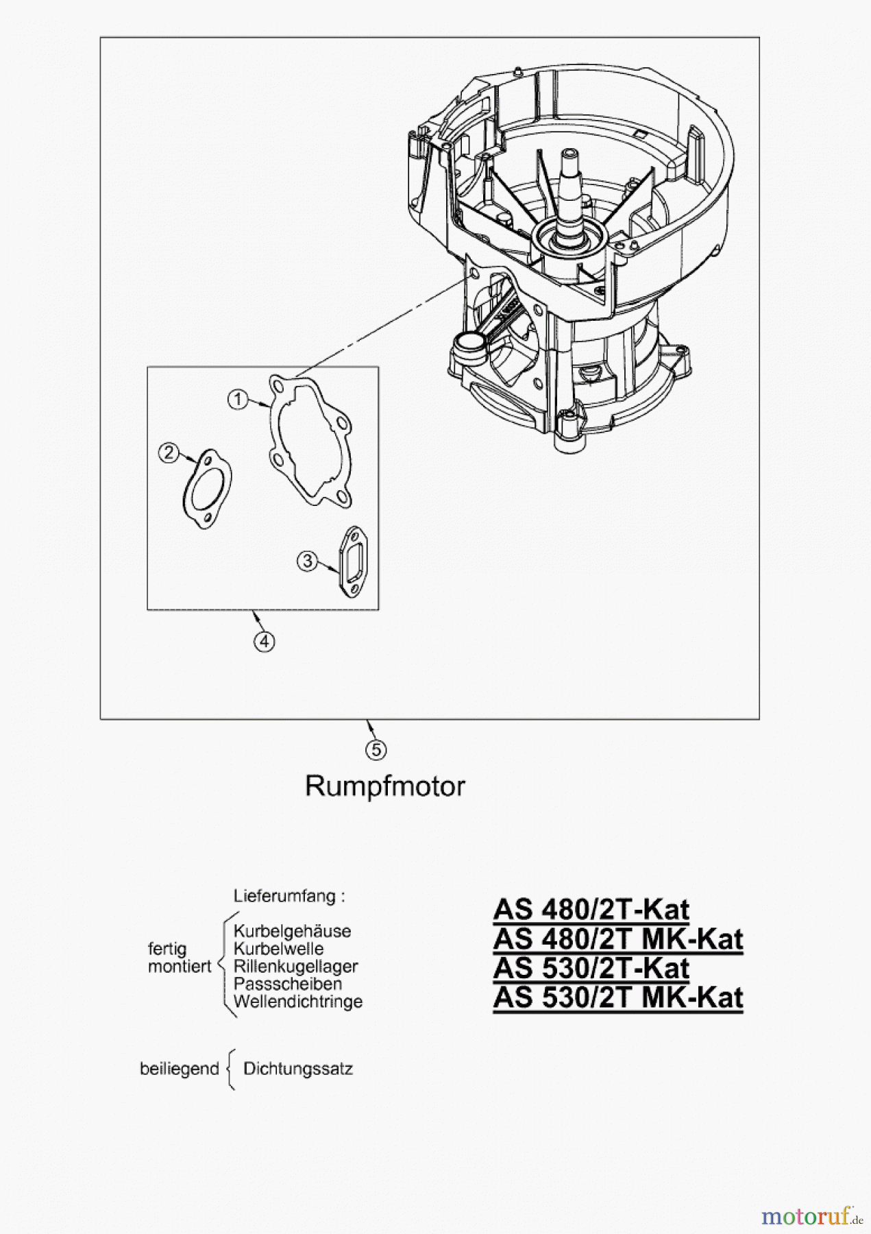 AS-Motor (neu) Rasen Profi-Rasenmäher AS 480 Heckauswurf AS 480/2T cat ab FNr. 020308050001 Rumpfmotor