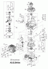 AS-Motor (neu) Profi-Rasenmäher AS 53 Standard AS 53 2T und AS 53 B4-cat ab FNr. 020708040001 Ersatzteile Grundmotor