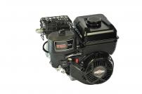 Motoren SERIE 550 IC Briggs & Stratton 