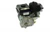 Motoren SERIE 550 IC Briggs & Stratton 