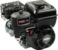 Motoren SERIE 550 IC Briggs & Stratton